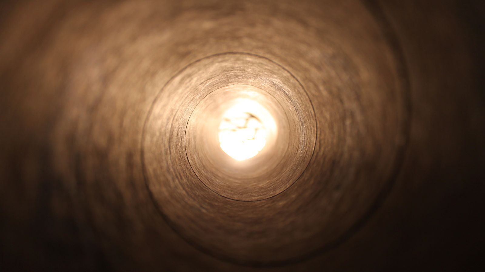 The Founder’s Paradox: When Thinking Big Holds You Back