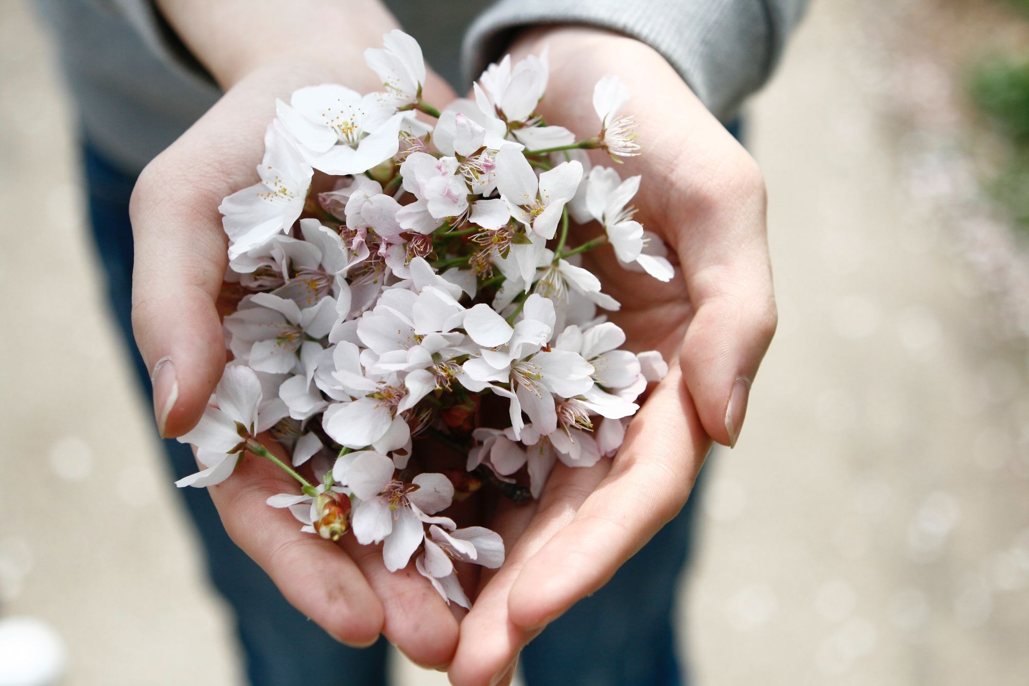 Empathy and Customer Support: Finding the Right Balance