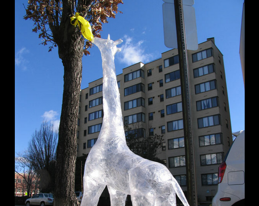 giraffe street art by Mark Jenkins