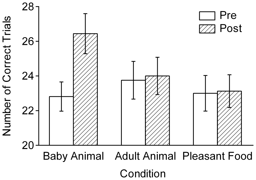 baby-animal-photos-and-productivity-study
