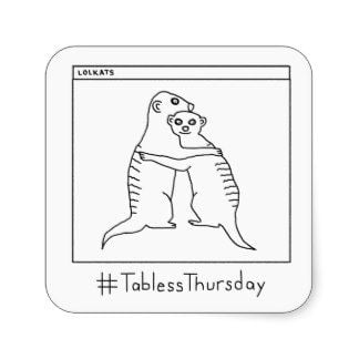 meerkats tabless thursday