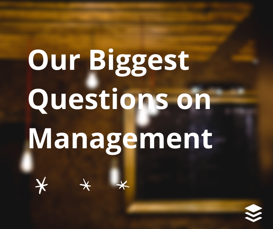 management questions