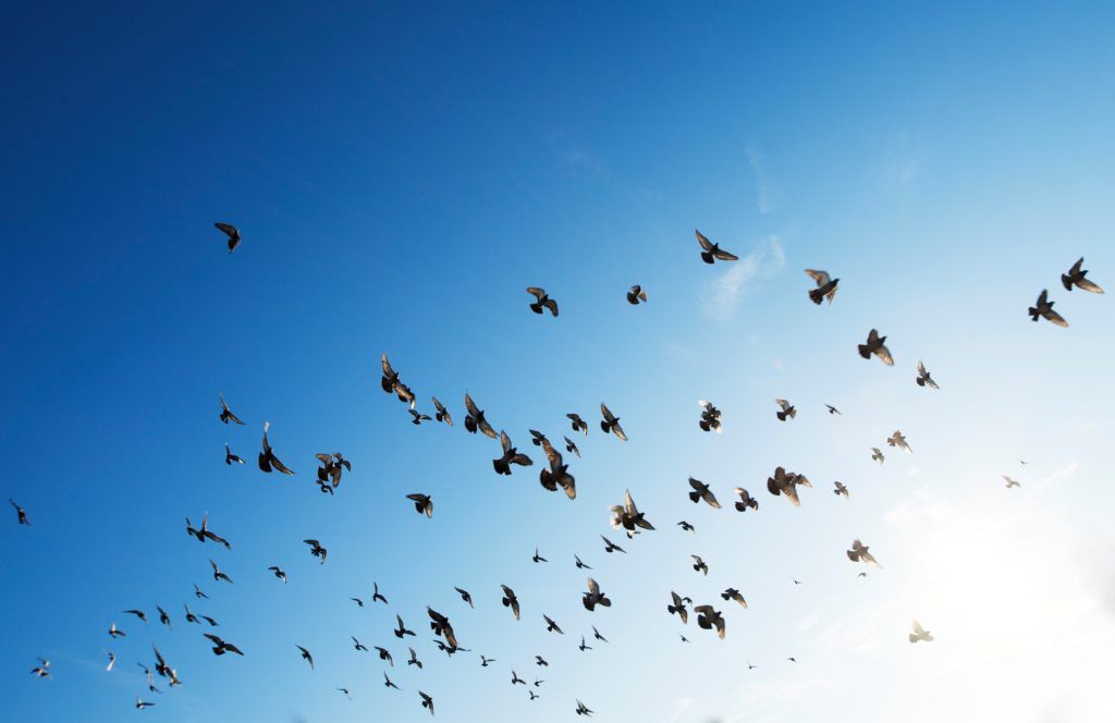 The 6 Exercises We’re Doing to Help With Artificial Harmony