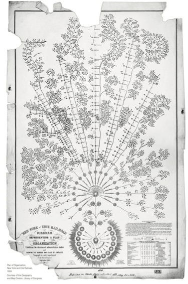 first official org chart picture